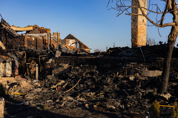 Reliable Fire Damage Repair contractor in South Haven, MN by Fire Damage Flint