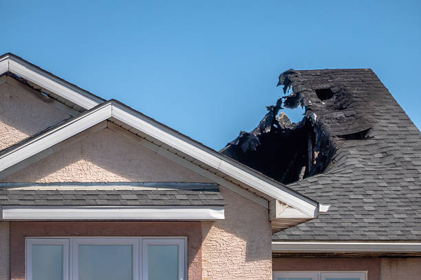 Top rated local Fire Damage Repair specialists in South Haven, MN
